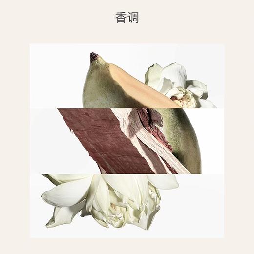  爱马仕 HERMES 尼罗河花园女士淡香水 100ml 香港直邮 商品图6