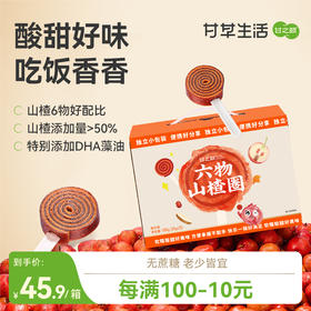 陈皮山楂条 山楂圈 果丹皮卷蜜饯小吃零食原味山楂棒棒糖独立包装