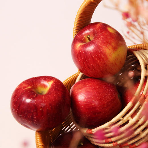 老品种西王丹霞苹果 全球仅有200多亩 不套袋 阳光雨露滋养 营养加倍的超级苹果 0激素 0农残  |百里食 商品图0