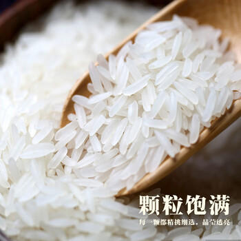 金优 几里田广西长粒香5kg 米龙须香米10斤 真空源头直发 当季新米 /粮油调味 /米 /丝苗米 商品图4