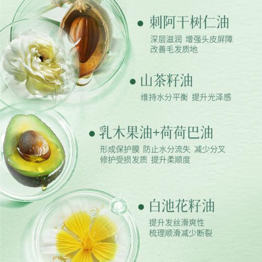 胖*来断货品牌 伯纳乌复活草洗护沐系列 柔顺秀发 沐浴露滋润保湿 洗发水/沐浴露/发膜 商品图1