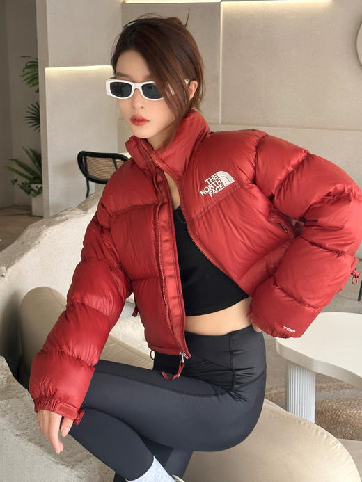 冬季爆款𝐓𝐡𝐞 𝐍𝐨𝐫𝐭𝐡 𝐅𝐚𝐜𝐞北面 84肯豆系列女士短款 （MT） 商品图11