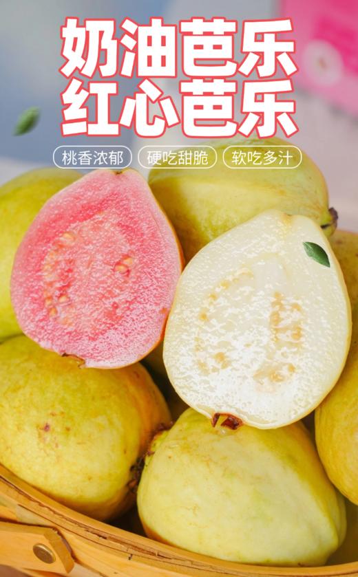 【奶油芭乐、红心芭乐】果香浓郁、 软糯香甜 商品图0