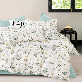 芳恩 长棉绒印花四件套