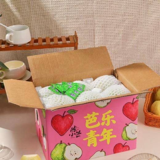 广西树熟奶油冰淇淋芭乐 【顺丰/京东发货，收到即吃，不用催熟】 商品图6