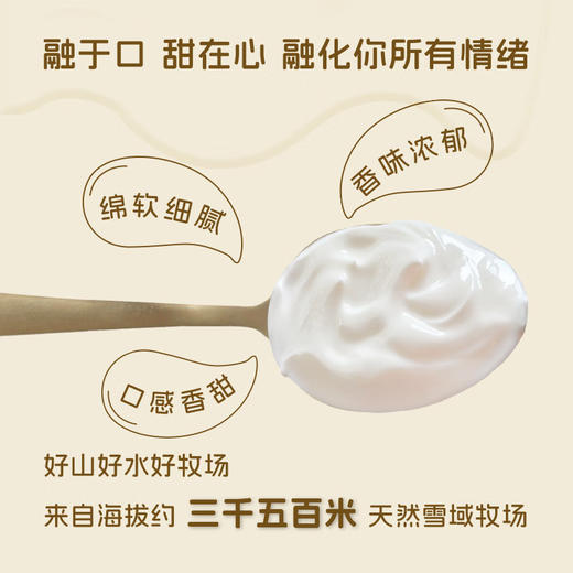 青藏祁莲牦牛奶 祁连山牦牛原味酸奶 200g*12盒 商品图1