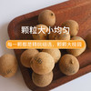 【三阳南货店】福建莆田特大桂圆干300g*2袋 商品缩略图3