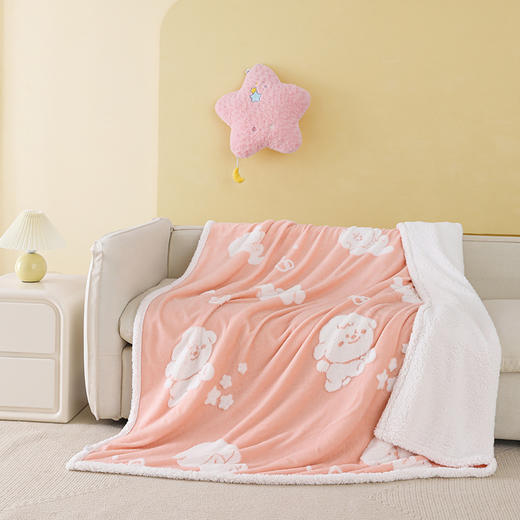 【秒杀 商城爆款】丝享呆呆狗阳离子提花双层毛毯 商品图2