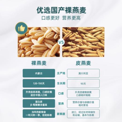 阴山优麦有机纯燕麦片1000g/桶 商品图2