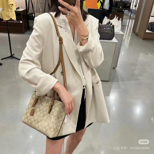 D102057等比例缩小版托特包Mollie Tote小号斜挎手提包 商品图8