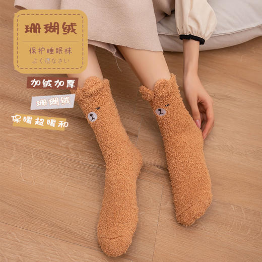超暖和【锁住温度！告别脚冷】加绒加厚，袜新款刺绣地板袜子秋冬加厚保暖不掉毛珊瑚绒睡眠袜。rc 商品图3