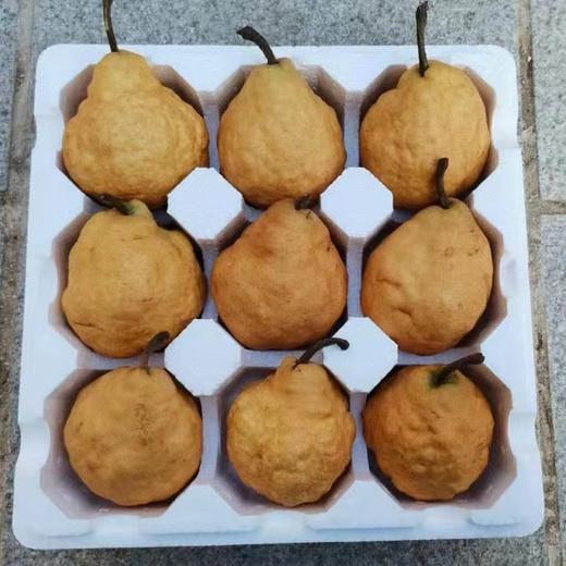 山东中华丑梨  丑萌的小可爱，软糯香甜 汁多味美 商品图1