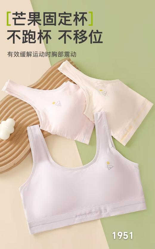 LS竹纤维二三阶段少女背心1951 商品图2