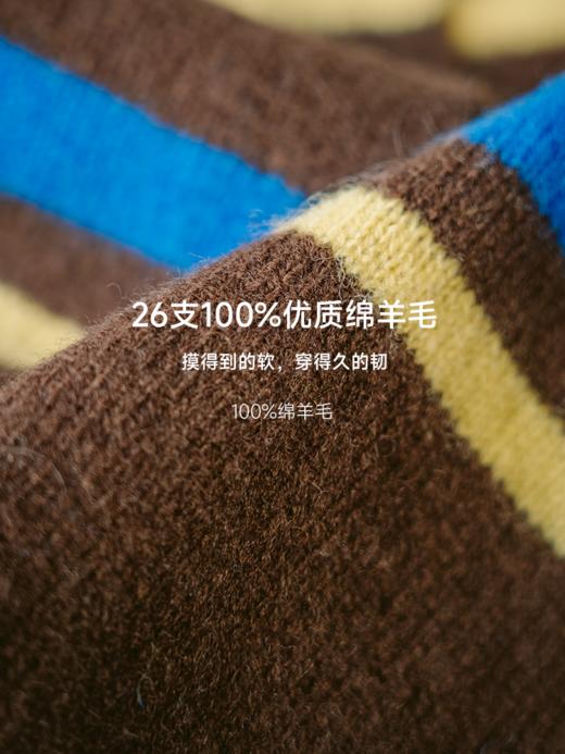 时髦老钱复古撞色条纹polo衫FCF3WSC128 商品图7