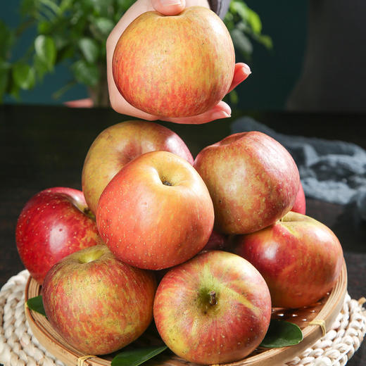 【杨博士甄选】云南昭通丑苹果4.5斤果香浓郁酸甜适中 商品图1