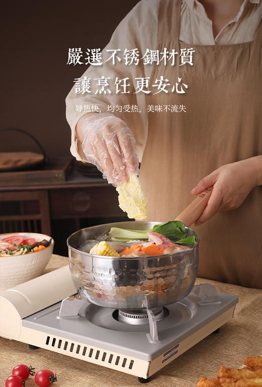 铁技雪平锅HP-22A 商品图1