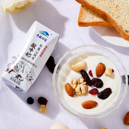 青藏祁莲牦牛奶 祁连山牦牛原味酸奶 200g*12盒 商品图3