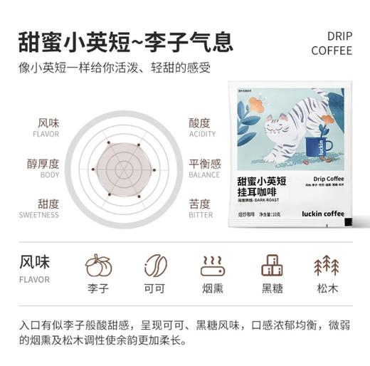 【积分兑换】吸猫挂耳 商品图1