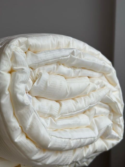 抑菌透气温暖！ 福利款30%大豆被春秋被冬被 品牌公司全棉提花面料 蓬松柔软 呵护健康睡眠 商品图7