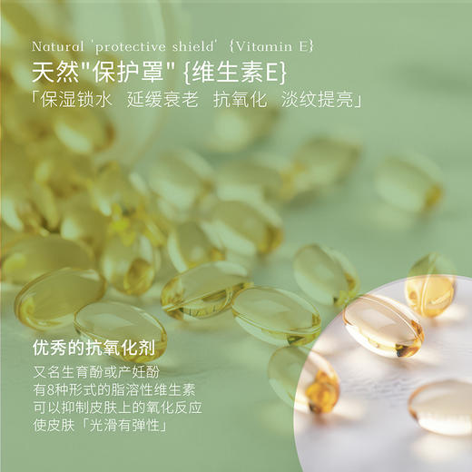 INGRAM'S 英格莱恩芦荟维他命E水润保湿乳霜450ml 商品图4