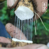【48小时发货，现挖现发 特殊天气顺延】基地直发 | 雪山有机糯山药 | 四川雅安 商品缩略图3