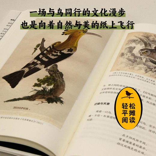 鸟类启示录：一部文化史 商品图2