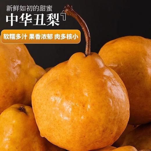 山东中华丑梨  丑萌的小可爱，软糯香甜 汁多味美 商品图3