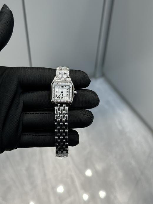 SH010-卡家猎豹手小号中号尺寸齐 钻圈款（SH） 商品图0