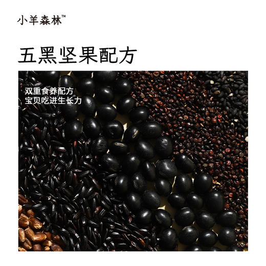 「五黑芝麻糊」（袋装） 5重黑养力 细腻好冲泡 香浓丝滑 五黑配方吃足生长力 好吃不怕热 本味更香甜 商品图1