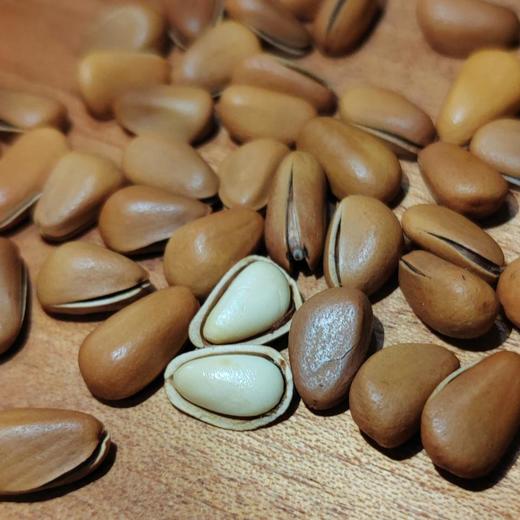 山苑开口红松子大粒特大粒松子王250g 商品图5