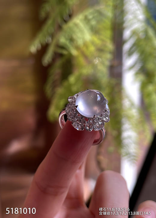 玻璃种蛋面戒指【5181010】具体价格微信咨询 商品图0
