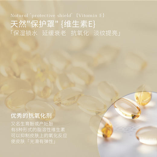 INGRAM'S 英格莱恩乳木果维他命E水润保湿乳霜450ml 商品图4