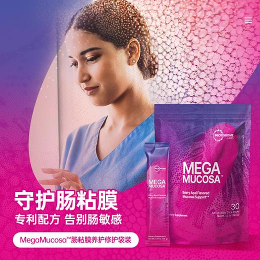 【瓶装肠漏修复伴侣-粘膜免疫粉剂】 MegaMucosa LPS 144g粉剂瓶装 免疫蛋白+复合氨基酸+多酚 儿童适用 食物不耐受 肠道健康推荐 商品图1