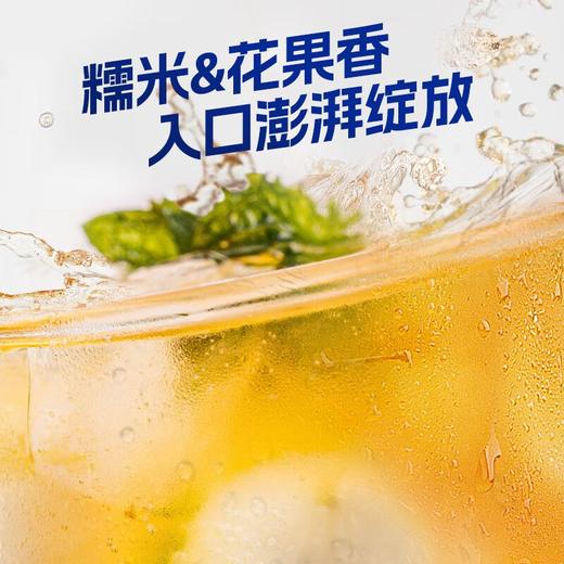 T会稽山290ml气泡黄酒 商品图1