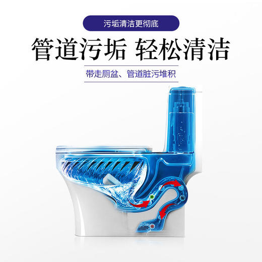LARGE 马桶泡腾片洁厕灵块清洁剂20g×15块 盒 商品图1