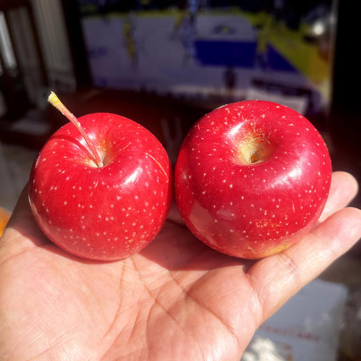 老品种西王丹霞苹果 全球仅有200多亩 不套袋 阳光雨露滋养 营养加倍的超级苹果 0激素 0农残  |百里食 商品图2