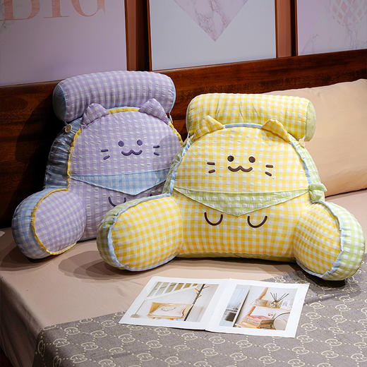 自然醒方巾喵格子拥抱式腰靠QYL 商品图13
