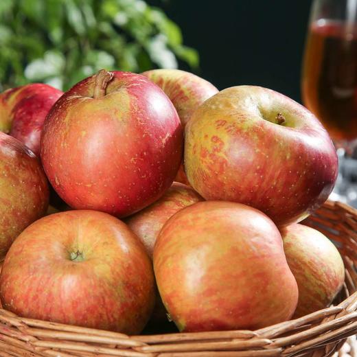 【杨博士甄选】云南昭通丑苹果4.5斤果香浓郁酸甜适中 商品图2