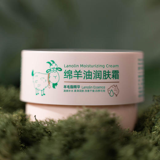 澳碧芙绵羊油滋润霜230g（250580） 商品图3