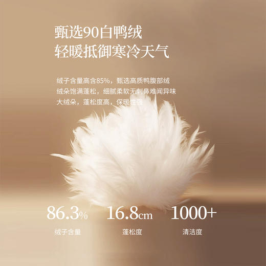 【年货节】熙世界巨好看的冬天鸭绒保暖格子拼接假两件连帽短款羽绒服外套女 商品图2