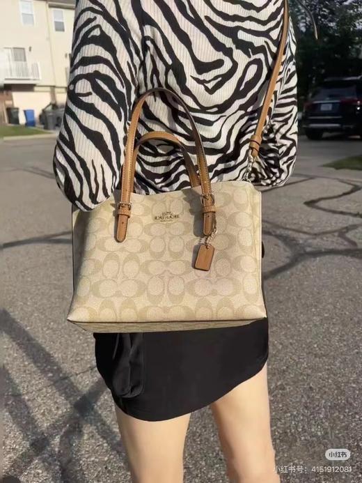 D102057等比例缩小版托特包Mollie Tote小号斜挎手提包 商品图6