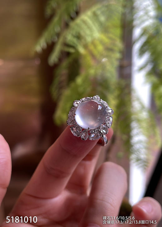 玻璃种蛋面戒指【5181010】具体价格微信咨询 商品图2