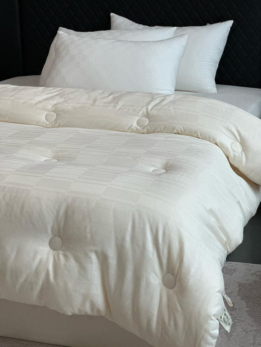 抑菌透气温暖！ 福利款30%大豆被春秋被冬被 品牌公司全棉提花面料 蓬松柔软 呵护健康睡眠 商品图1