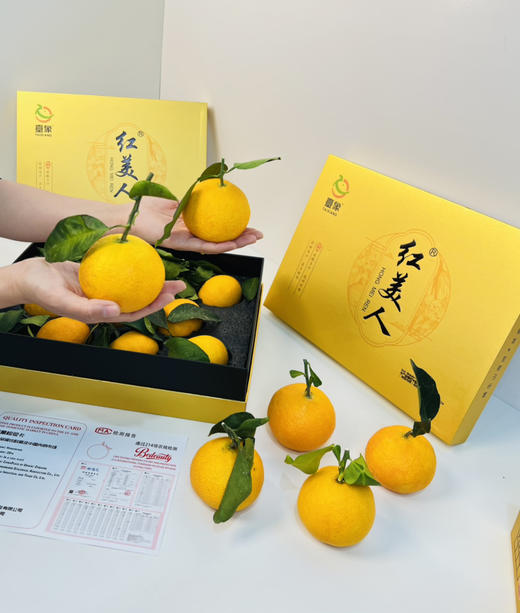 红美人 口感浓郁，嫩如豆腐，饱满多汁 现在正值成熟上市期 主打新鲜 商品图6