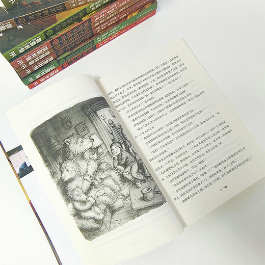 《格林姐妹系列》全9册   9-14岁   侦探推理与世界经典故事完美融合  在轻松快乐的阅读中培养逻辑思维能力  给予孩子们冒险、智慧、勇气与爱的多重激励 商品图3