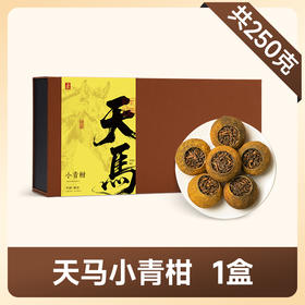 茶叶 小青柑 普洱  天马小青柑 茶叶新年礼盒 书型盒 茶饮  五虎 250g
