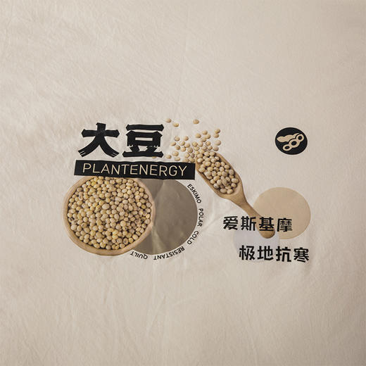 芳恩 极地抗寒大豆被 商品图4