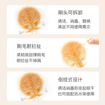 马博士婴儿奶瓶刷便携套装奶嘴奶瓶清洗刷吸管刷杯刷自带收纳盒奶咖白 商品图3