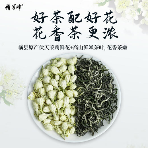 将军峰 臻品茉莉花茶-120克 商品图4