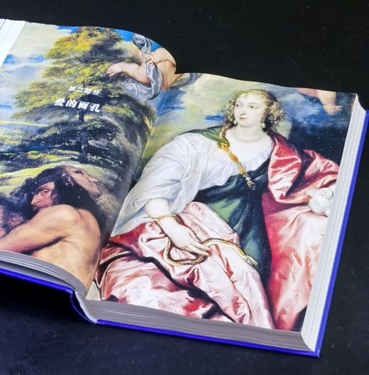 特惠！！《英国面孔：从肖像画看历史》，精装，16开，[英]西蒙.沙玛著，商务印书馆2021年一版一印，540页，定价168，售价56.8元。 商品图8